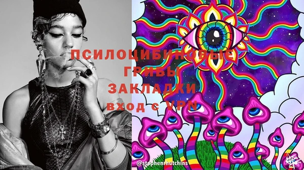 дмт Лихославль