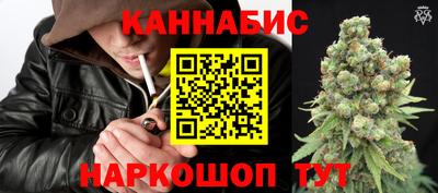 PSILOCYBIN Канаш