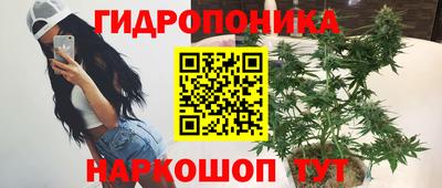 PSILOCYBIN Канаш