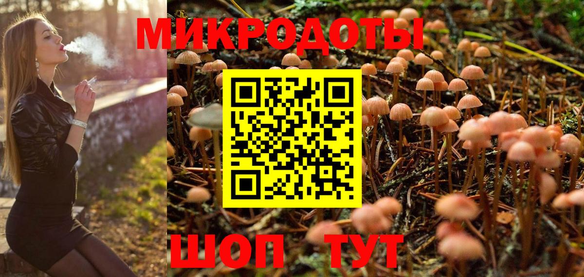 Сызрань  Галлюциногенные грибы Psilocybe  Галлюциногенные грибы прущие грибы  наркотики  Вход с VPN 
